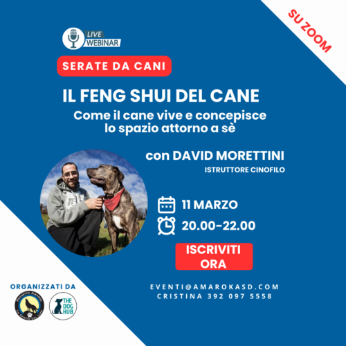 Serate da cani_il webinar cinofilo Amarok con David Morettini