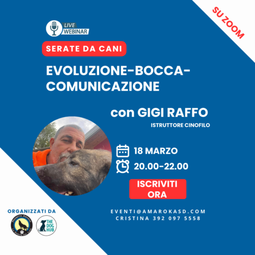 Serate da cani_il webinar cinofilo Amarok con Gigi Raffo