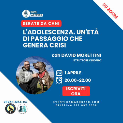 Serate da cani_il webinar cinofilo Amarok con David Morettini