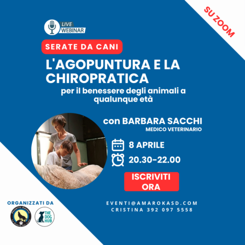 Serate da cani_il webinar cinofilo Amarok con Barbara Sacchi