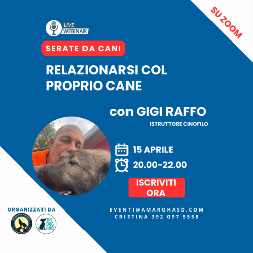 Serate da cani_il webinar cinofilo Amarok con gigi raffo