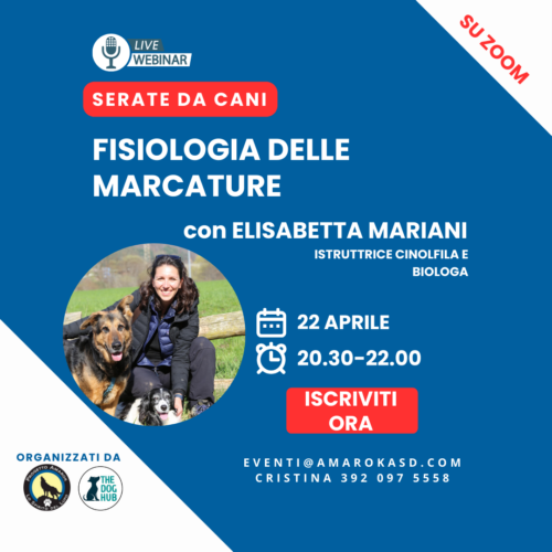 Serate da cani_il webinar cinofilo Amarok con Elisabetta Mariani