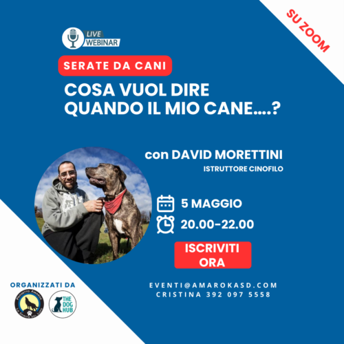 Amarok_serate da cani il webinar cinofilo David Morettini