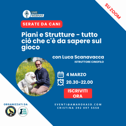 Amarok_serate da cani_il webinar cinofilo con Luca Scanavacca