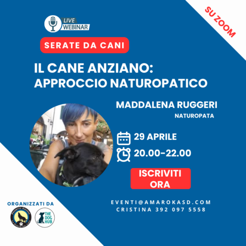 Cane anziano - Serate da cani - il webinar cinofilo Amarok