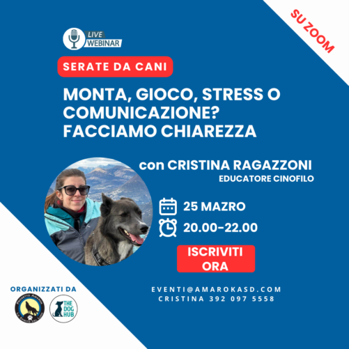 La monta del cane - Serate da cani - il webinar cinofilo Amarok